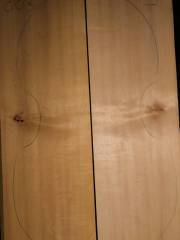 Tonewood viola da gamba top 003  2005  € 65,-- SOLD