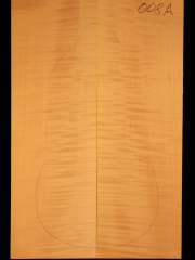 Tonewood-Viola d´amore  008a 2010 back € 150,--