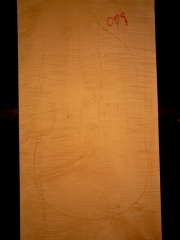 Tonewood viola da gamba 009 2010 back € 250,--sold SOLD