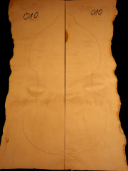 Tonewood viola da gamba 010 2004 back € 180,--
