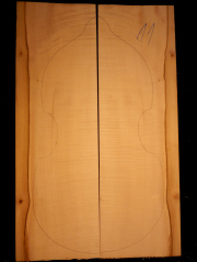 Tonewood viola da gamba 011 2013 back € 190,--