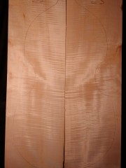 Tonewood viola da gamba 023 2016 back € 250,-- SOLD