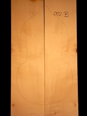 Tonewood viola da gamba 002b 2007 back € 100,-- SOLD