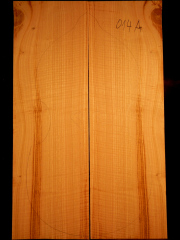 Tonewood viola da gamba 014A  2013 back €180,-- Ulme-elm-olmo