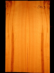 Tonewood viola da gamba 014B  2013 back € 180,-- Ulme-elm-olmo