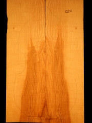 Tonewood viola da gamba 020 2015 back Esche-ash-frassino € 100,-- 