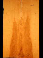 Tonewood viola da gamba 020 2015 back Esche-ash-frassino € 100,--