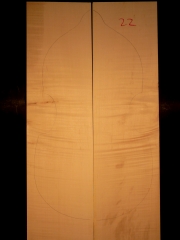 Tonewood viola da gamba 022 2009 back € 150,--