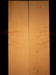 Tonewood viola da gamba 022 2009 back € 150,--