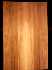 Tonewood viola da gamba 018A 2015 back   Nuss-nut-noce   € 80,--  SOLD
