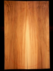 Tonewood viola da gamba 018C 2015 back   Nuss-nut-noce   € 80,--  SOLD