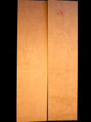 Tonewood viola da gamba 26 2012 back € 150,--