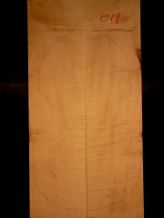Tonewood viola da gamba 019 2012 back € 190,-- SOLD