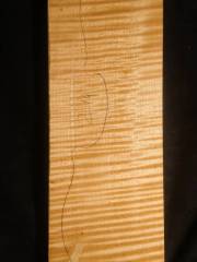 Tonewood - Viola 744A  2014   € 120,--