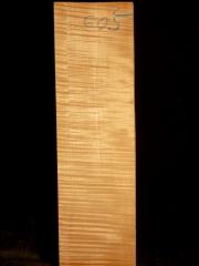 Tonewood - Viola - 605  2005  € 85,--