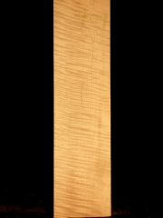 Tonewood - Viola 709  2006   € 85,--