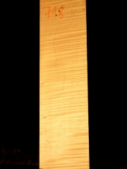 718 Tonewood Viola 2009 € 85,--