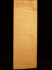 Tonewood - Viola -725            2010        € 100,--