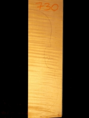 730 Tonewood Viola 2012 €100,--