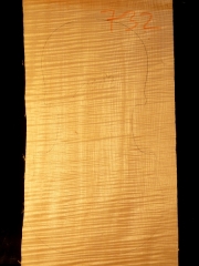 732 Tonewood Viola 2012 €125,--