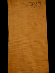 Tonewood Viola 737  2013   €  110,--