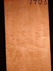Tonewood Viola 740B  2013   €  95,--