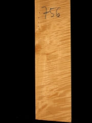 Tonewood - Viola -756            2017        € 100,--