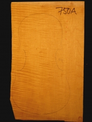 Tonewood - Viola 750a  2014   € 110,--