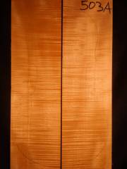 Tonewood - Viola -503 A      2004        € 90 ,--