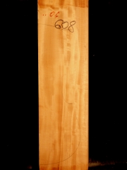 Tonewood Viola 608  2005   €  75,-- ital.Pappel-ital.poplar-pioppo italiano