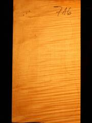 716Tonewood - Viola 716  2009   € 110,--
