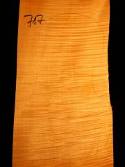 Tonewood Viola 717  2009   € 110,--