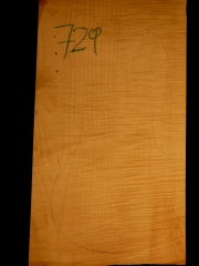 Tonewood - Viola -729            2010        € 90,--