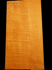 Tonewood Viola 755  2015   €  125,--
