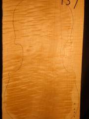 Tonewood Viola 759  2020   €  120,--