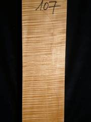 Tonewood - violin - 107 - back - 2001 - € 95,--