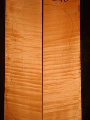 Tonewood - violin - 310 - back - 2004 - € 85,--