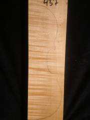 Tonewood - violin - 437 - back - 2012 - € 95,--