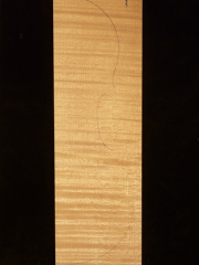 Tonewood - violin - 201 - back - 2002 - € 70,--