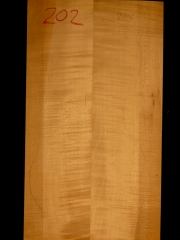 Tonewood - Violine - 202  2001 gefügt-jointed-giuntato € 45,--