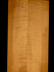 Tonewood - violin - 202 - back - 2001 - € 60,-- jointed
