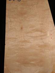 Tonewood - violin - 208 - back - 2004 - € 80,--