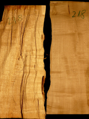 Tonewood - violin - 218 - split bridge - 2008 - € 50,--