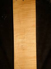 Tonewood - violin - 301 - back - 2004 - € 90,--