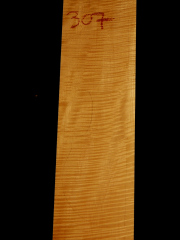 Tonewood - violin - 307 - back - 2003 - € 100,--