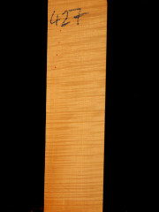 Tonewood - violin - 427 - back - 2012 - € 95,--