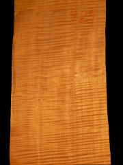 Tonewood - violin - 429 - back - 2012 - € 140,--