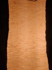 Tonewood - violin - 438D - back - 2010 - € 90,--