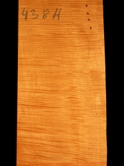 Tonewood Violin 2013  438H  € 110,--