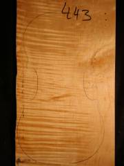 Tonewood - violin - 443 - back - 2014 - € 80,--